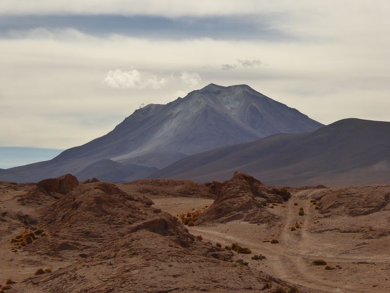 Laguna Colorada Bolivien Uyuni 4x4 Salzsee Saltlake  Laguna Pasto Grande Siloli Wüste 