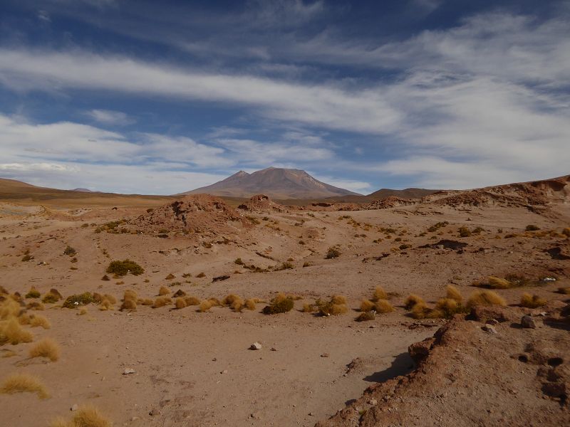 Laguna Colorada Bolivien Uyuni 4x4 Salzsee Saltlake  Laguna Pasto Grande Siloli Wüste 