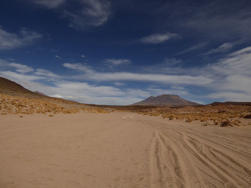 Laguna Colorada Bolivien Uyuni 4x4 Salzsee Saltlake  Laguna Pasto Grande Siloli Wüste 