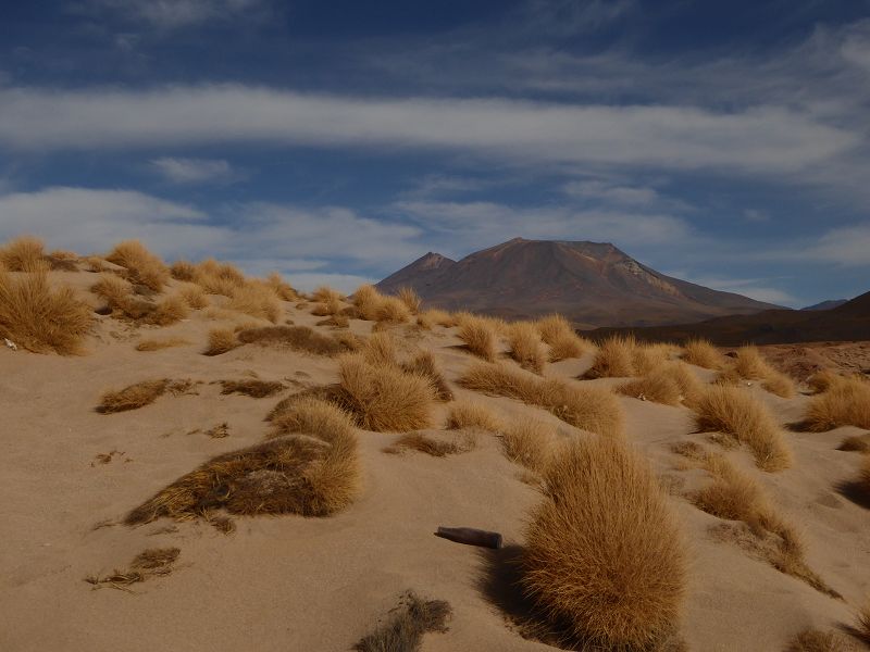 Laguna Colorada Bolivien Uyuni 4x4 Salzsee Saltlake  Laguna Pasto Grande Siloli Wüste 