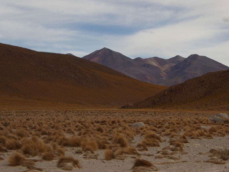   Bolivien Uyuni 4x4 Salzsee Saltlake  Laguna Pasto Grande Laguna ColoradaSalzsee Saltlake Uyuni Laguna Colorada Bolivien Laguna campinaLaguna Pasto Grande