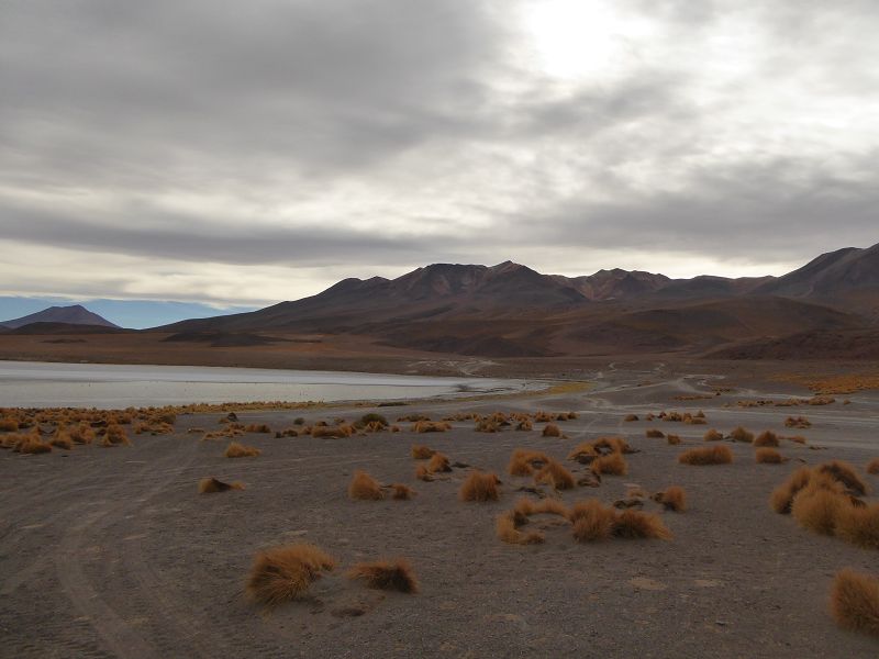   Bolivien Uyuni 4x4 Salzsee Saltlake  Laguna Pasto Grande Laguna ColoradaSalzsee Saltlake Uyuni Laguna Colorada Bolivien Laguna campinaLaguna Pasto Grande