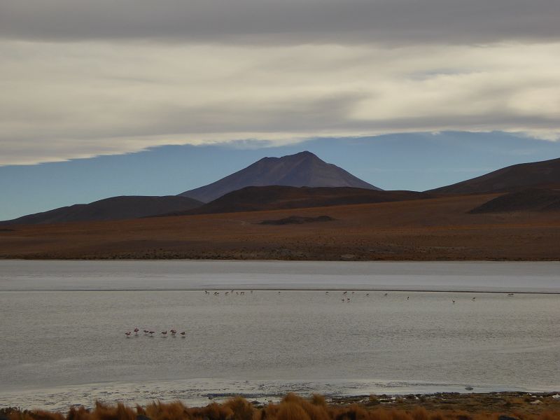   Bolivien Uyuni 4x4 Salzsee Saltlake  Laguna Pasto Grande Laguna ColoradaSalzsee Saltlake Uyuni Laguna Colorada Bolivien Laguna campinaLaguna Pasto Grande