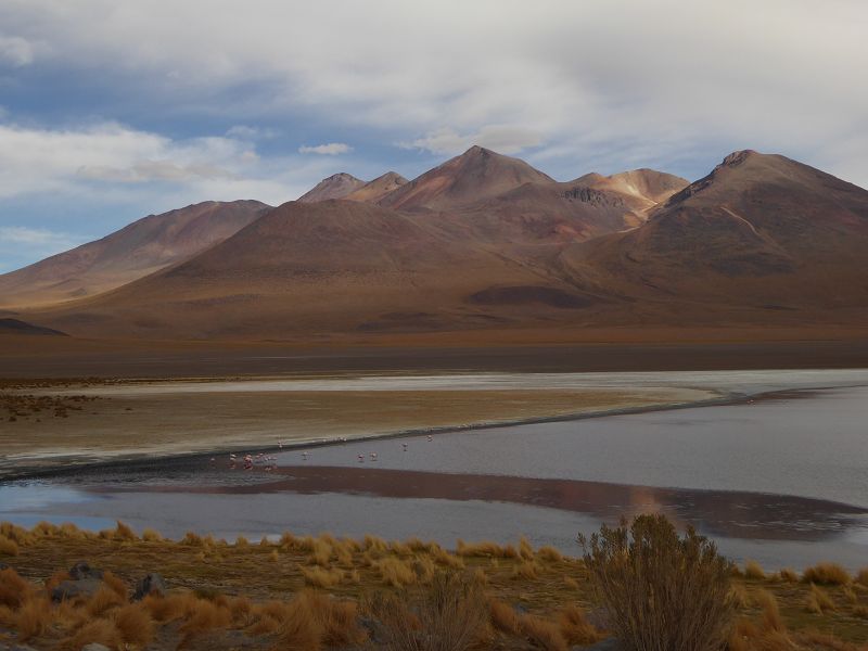   Bolivien Uyuni 4x4 Salzsee Saltlake  Laguna Pasto Grande Laguna ColoradaSalzsee Saltlake Uyuni Laguna Colorada Bolivien Laguna campinaLaguna Pasto Grande