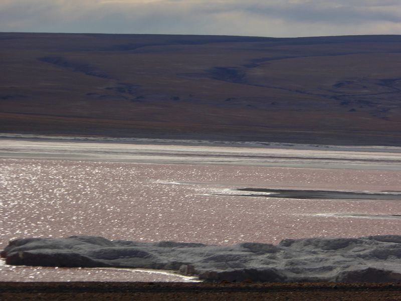 Laguna Pasto Grande Bolivien Uyuni 4x4 Salzsee Saltlake Pasto Grande Flamencos Flamingos