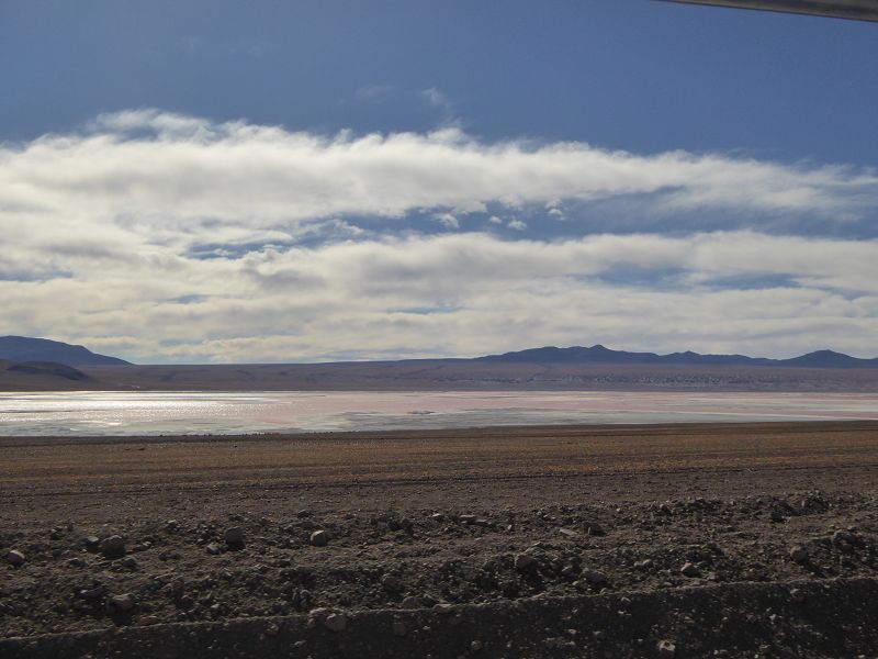Laguna Pasto Grande Bolivien Uyuni 4x4 Salzsee Saltlake Pasto Grande Flamencos Flamingos