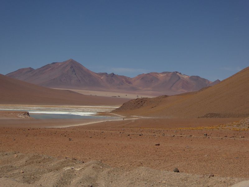   Laguna Pasto Grande Bolivien Uyuni 4x4 Salzsee Saltlake Pasto Grande Flamencos FlamingosLaguna Pasto Grande Bolivien Uyuni 4x4 Salzsee Saltlake Pasto Grande Flamencos Flamingos