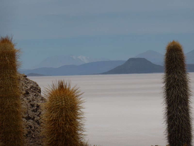 Uyuni Isla de Pescado   Uyuni – Salzseee – Reserva del Salar Incahuasi