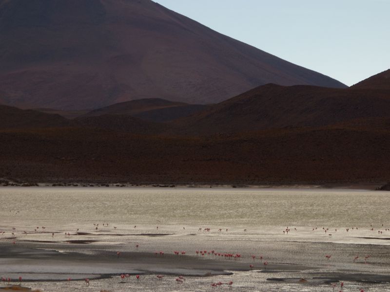 Laguna verde Bolivien Uyuni 4x4 Salzsee Saltlake  Termas de Polques Flamencos Flamingos