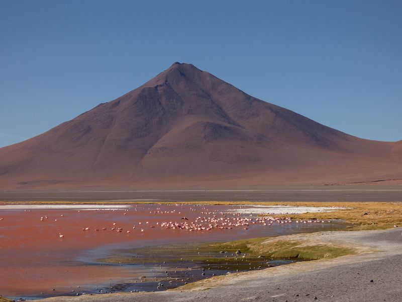   Laguna verde Bolivien Uyuni 4x4 Salzsee Saltlake Dali Desierto Flamencos FlamingosLaguna verde Bolivien Uyuni 4x4 Salzsee Saltlake Dali Desierto Flamencos Flamingos