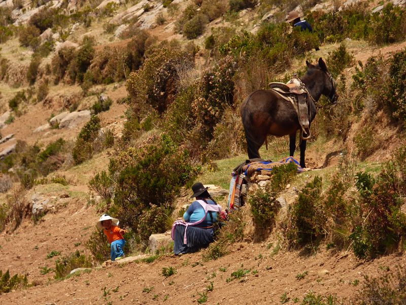 Bolivia Copacabana Lago Titikaka  Lago Titicaca Titicacasee Isla del Sol Isla de Luna