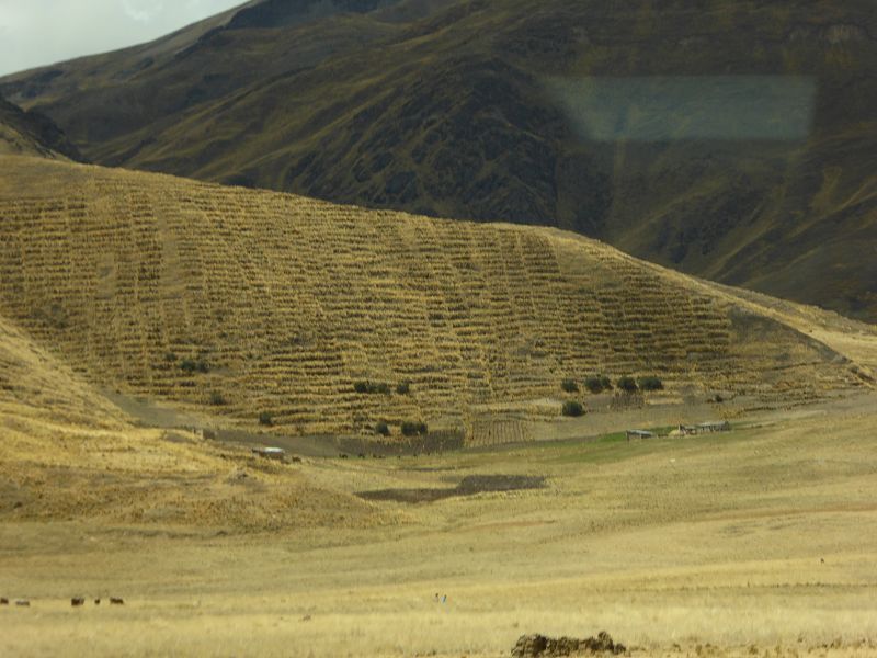 La Raya Pass Occobamaba Altiplano Terassenbau Hangterasssen Altiplanoterassen