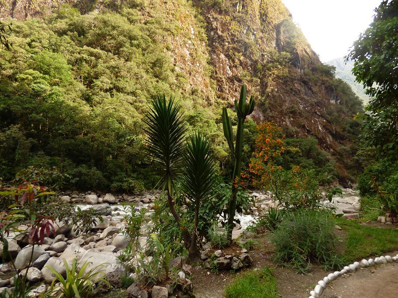 Aquas Calientes nach  Cusco 