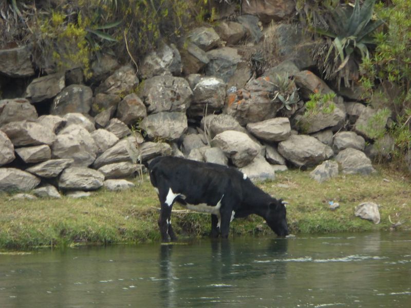 Aquas Calientes nach  Cusco 