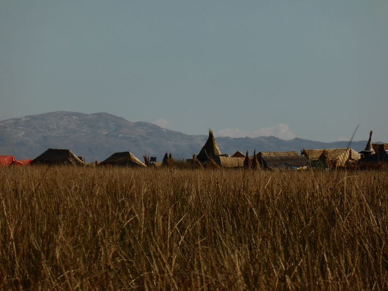 schilfinseln uros Schilf Titicacasee Haeuser auf den inseln