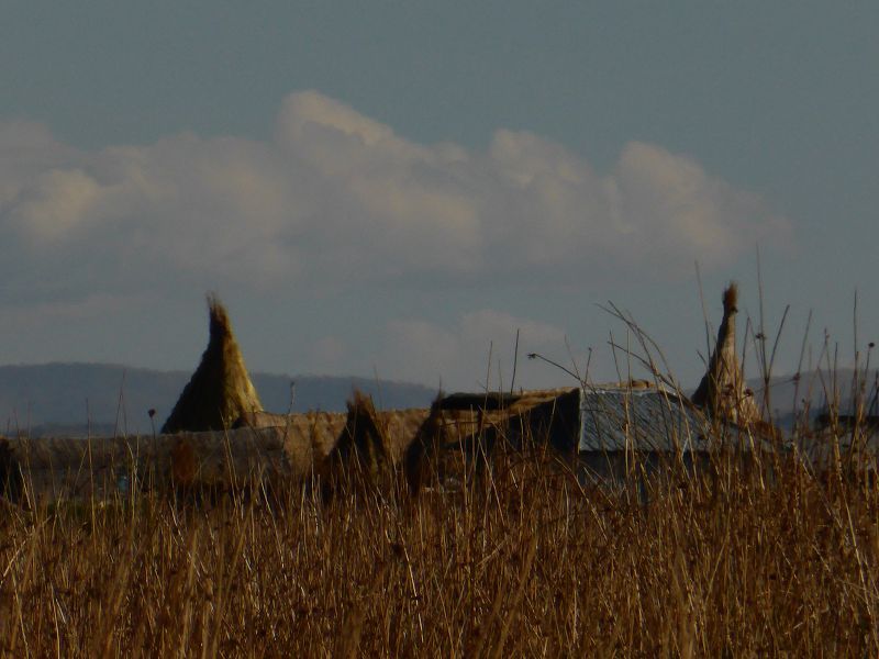 schilfinseln uros Schilf Titicacasee Haeuser auf den inseln