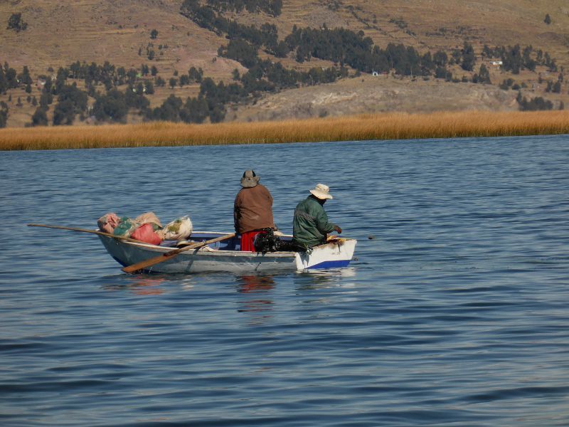 Pescaderos Lago Titicaca