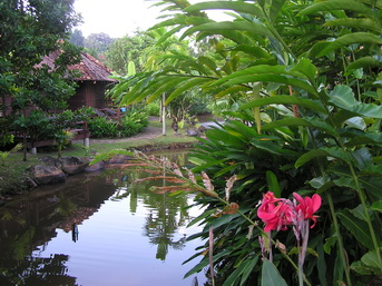 Khao Lak Khaolak Laguna Resort