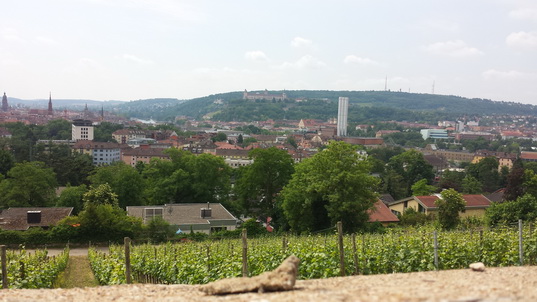 Wein und Weinberg und Mainmühle und mehr Afrikavestival