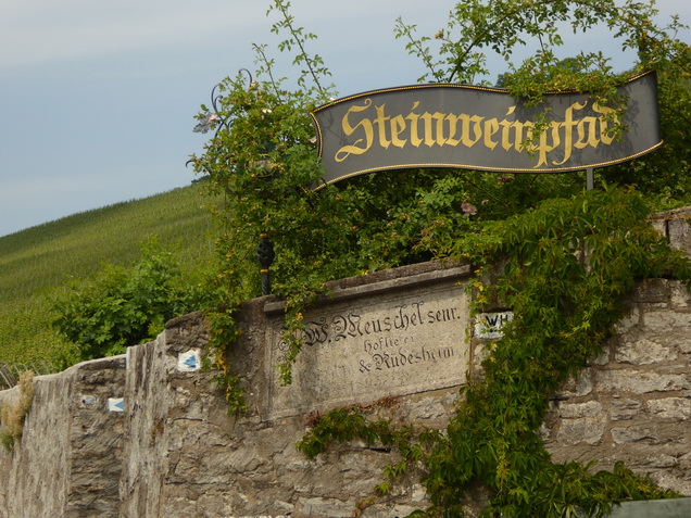 ein und Weinberg und Mainmühle und mehr    Steinweinpfad