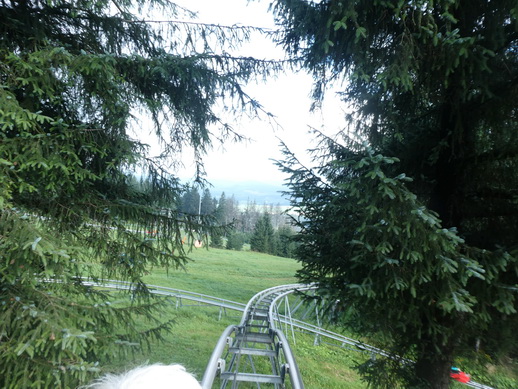 Sommerrodelbahn Wasserkuppe