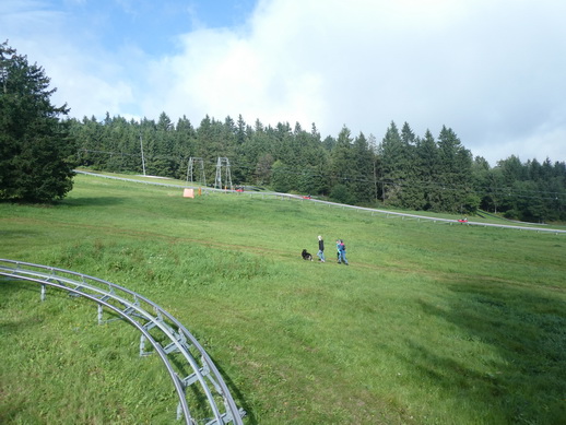 Sommerrodelbahn Wasserkuppe