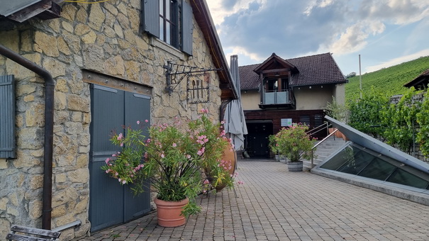    Würzburg der reiser  Würzburg  weingut am stein