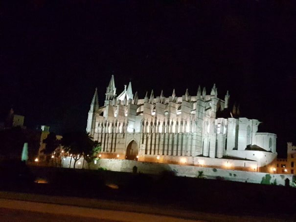 Palma de Mallorca Mallorca Palma de Mallorca Mallorca Cathedrale in der Nacht 