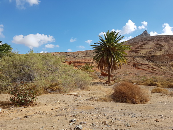   Fuerteventura  Wanderung  Camino Natural de Corralejo a Punta de Jandia Fuerteventura  Wanderung  