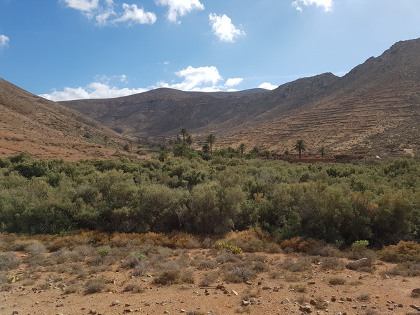   Fuerteventura  Wanderung  Camino Natural de Corralejo a Punta de Jandia Fuerteventura  Wanderung  