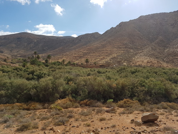   Fuerteventura  Wanderung  Camino Natural de Corralejo a Punta de Jandia Fuerteventura  Wanderung  