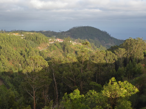   Madeira 2017  Levadawanderung  Camninho de Rochao Poncha Madeira 2017   Levadawanderung  Camninho de Rochao Poncha 