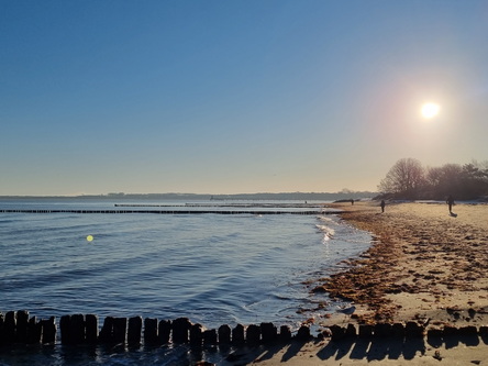 Boltenhagen Ostsee Küste Boltenhagenküste Ostsee Küsten 