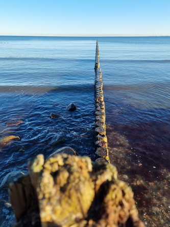 Boltenhagen Ostsee Küste Boltenhagenküste Ostsee Küsten 