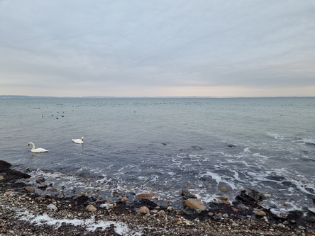 Wanderung Niendorf TraveMünde am vereisten Strand entlang