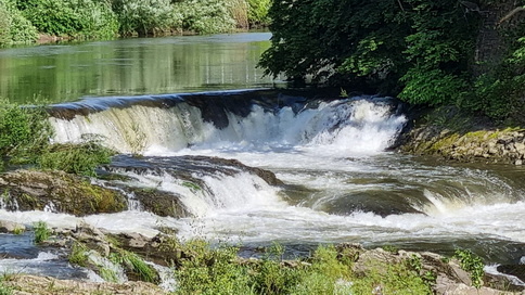 Sieghochwasser