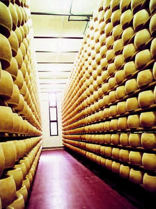 foto: stagionatura formaggi