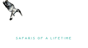 https://www.kiboslopessafaris.com/templates/nootravel_v2/images/logo.png