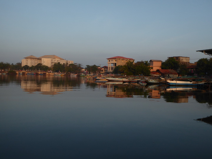 Negombo Boatsafari Mangroves 