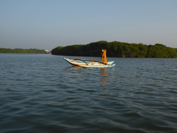 Negombo Boatsafari Mangroves 