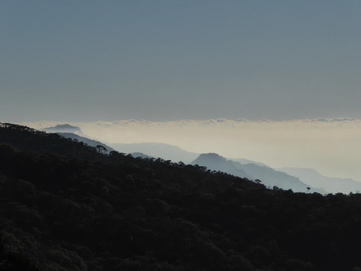 Trekking to  Great World's End Drop Hortons Plains  Nuwara Eliya 