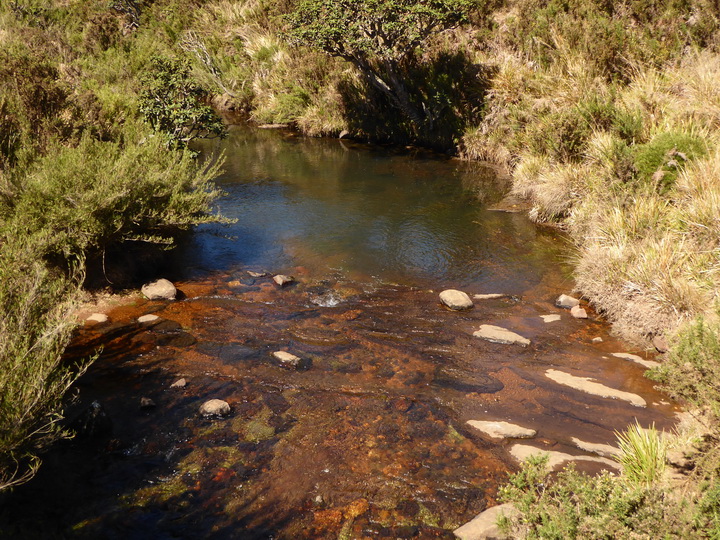 Trekking to Great World's End Drop Hortons Plains Nuwara Eliya 