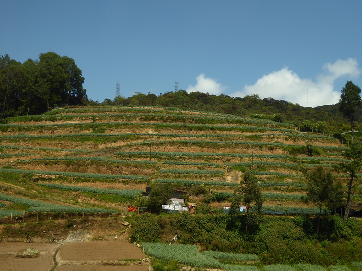   Ella Nuwara Eliya. LakeElla Nuwara Eliya. Lake 