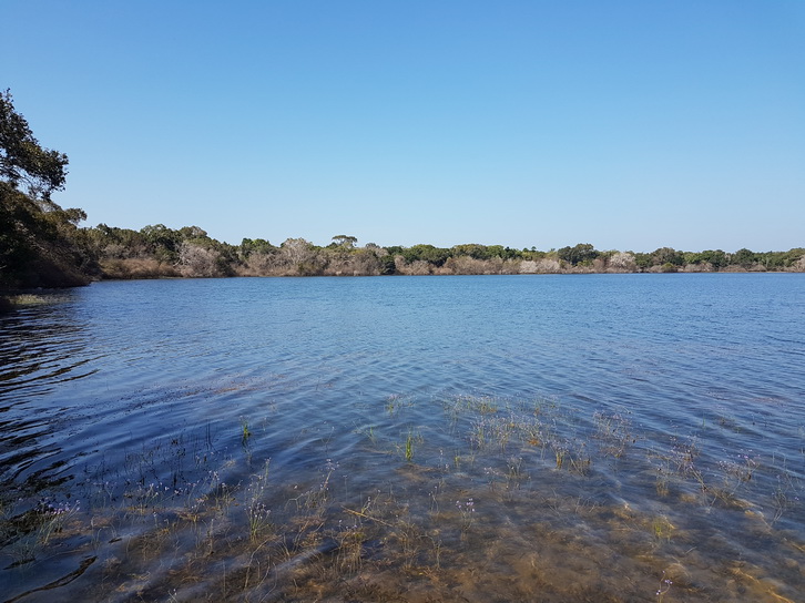 Wilpattu National Park Camp Kulu safaris tempel