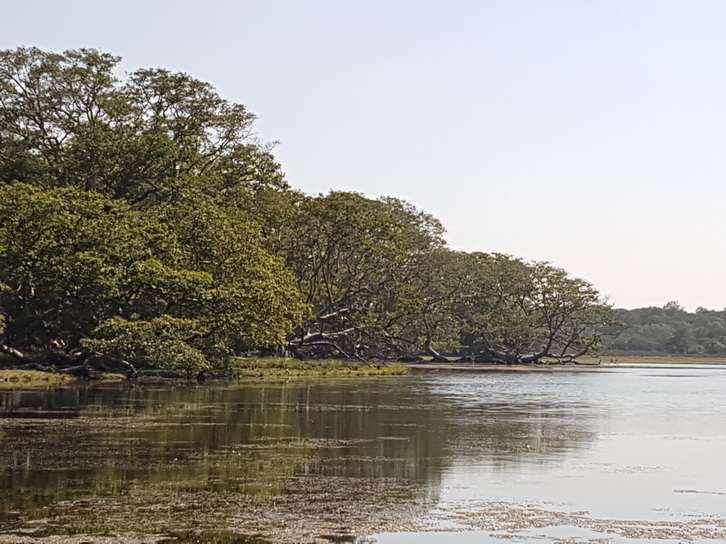 Wilpattu National Park Camp Kulu safaris tempel