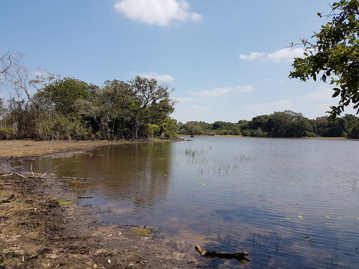 Wilpattu National Park Camp Kulu safaris