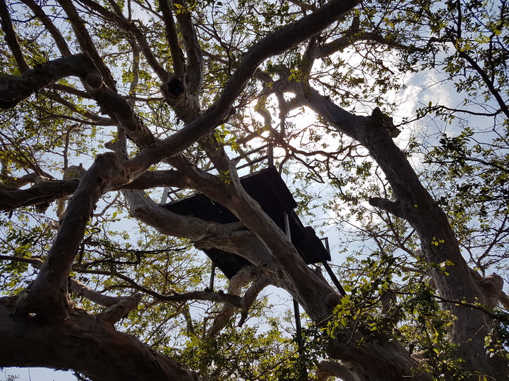 Wilpattu National Park Camp Kulu safaris