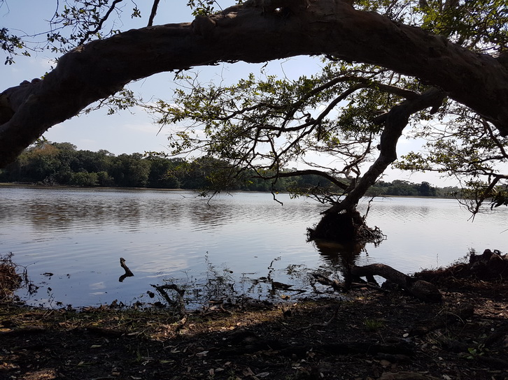 Wilpattu National Park Camp Kulu safaris