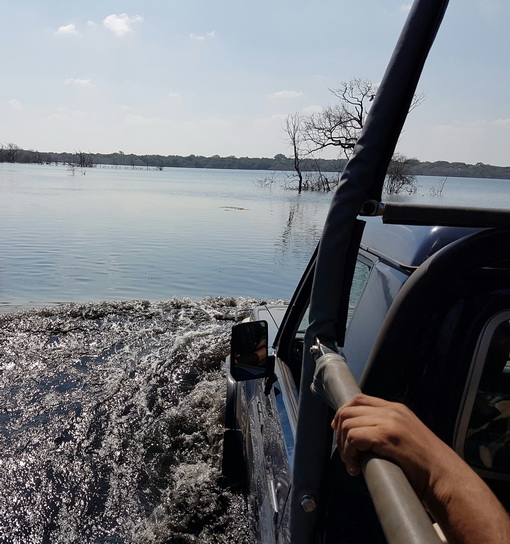 Wilpattu NP Waterdrive