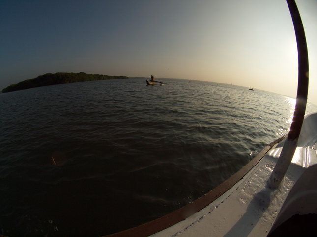 Negombo Boatsafari Mangroves 